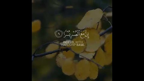 فإن مع العسر يسرا...  للقارئ/ إسلام صبحي