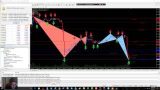 Easy Harmonics - Trading Binary Options Using Binary.com