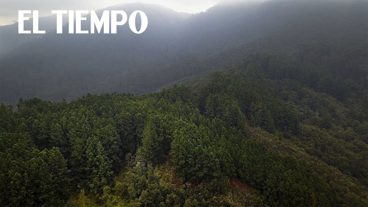 Quebrada La Vieja: un paraíso en Bogotá | EL TIEMPO