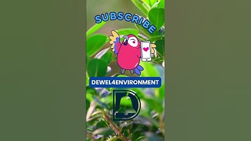 Environmental Fact Quiz: Test Your Knowledge #environment #pollution #earth #wildlife #quiz #riddles