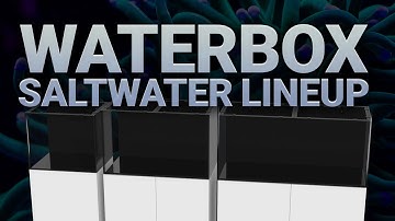 Waterbox Saltwater Aquariums - A Full Breakdown!