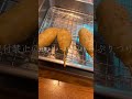 #大阪グルメ #新世界 #串カツ#通天閣