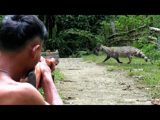 Full video : 5 days of hunting wild weasel, monitor lizards, bats, mice and wild birds class=