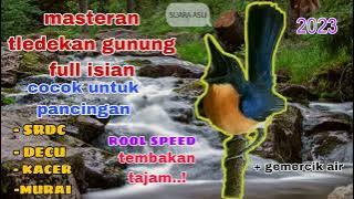 SUARA TLEDEKAN GUNUNG FULL ISIAN UNTUK PANCINGAN