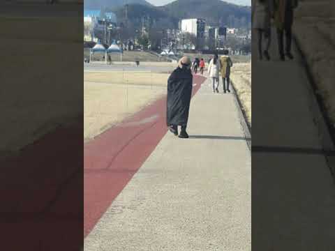 [TJ노래방라운지] 사랑의옛고향 - 배호