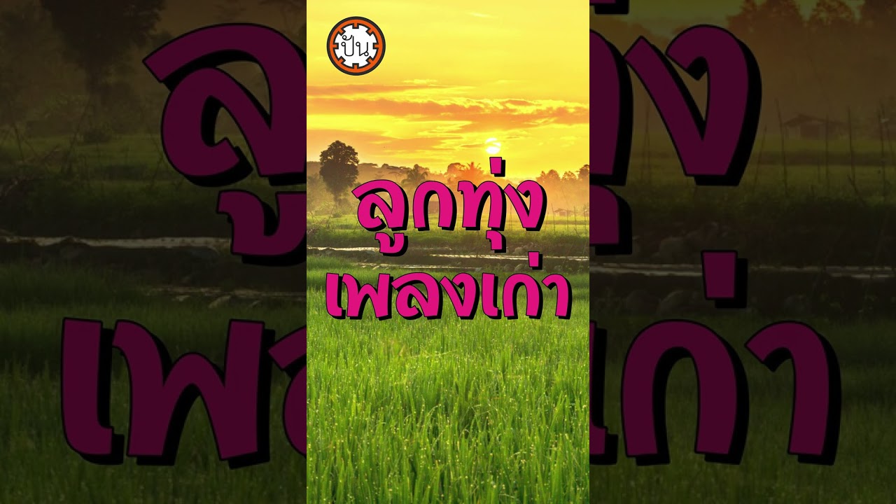 ลารักจากสวนแตง | สายัณห์ สัญญา #shorts #ฟังเพลง #เพลงดัง #music #เพลงฮิต #เพลงเพราะ #song