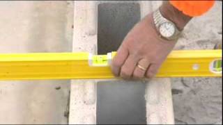 Benex - String Line