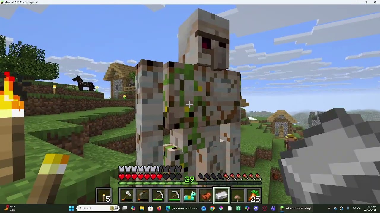 I got a zombie horse in minecraft