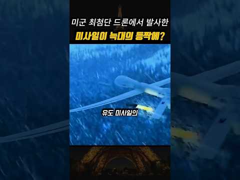 드론 미사일을 <strong>늑대</strong> 한 마리로 따돌린 방법 😱