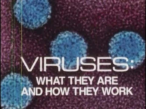 Germs Movie for Kids Virus & Bacteria Introduction #206