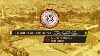 Sapucai do Yuri Cristal PVB Campeã de Marcha Égua Sênior Nacional 2019