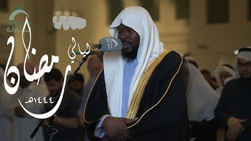 عيسى سناكو || تلاوة عذبة من صلاة التراويح ( رمضان ١٤٤٤ هـ )