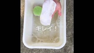【洗濯の味方】ちょこっと洗濯最強説