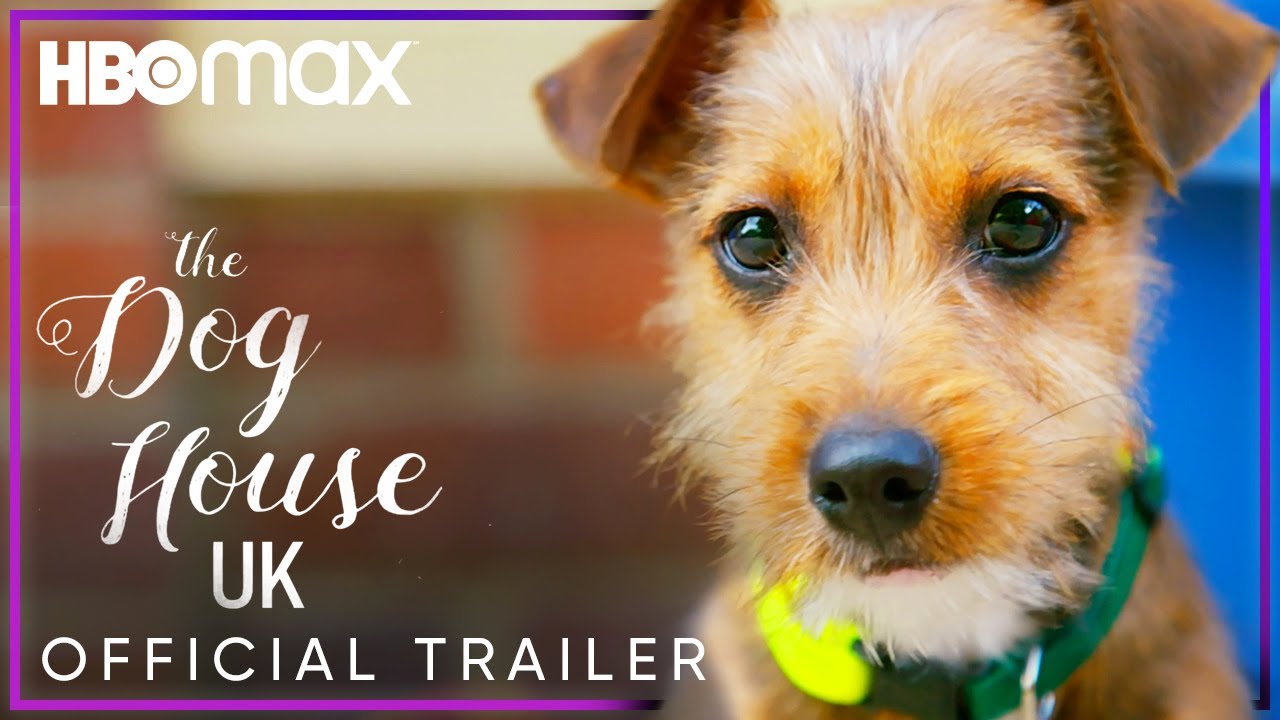 The Dog House: UK | Official Trailer | HBO Max - YouTube