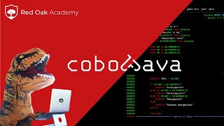 Wie Cobol + Java zusammenfinden ❤