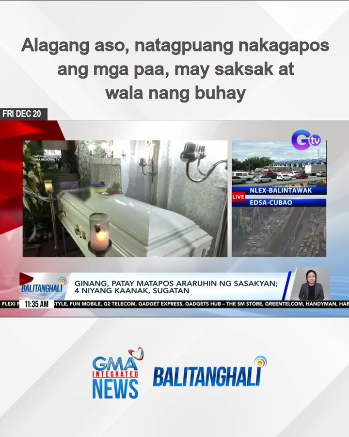 Alagang aso, natagpuang nakagapos ang mga paa, may saksak at wala nang buhay | Balitanghali