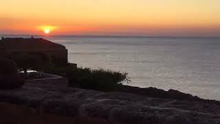 IMG 4981 IMG 4981