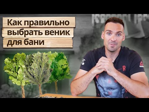 Как выбрать веник для бани? / Какие бывают веники?