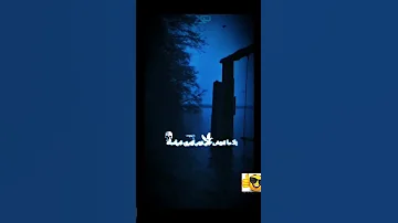 لامتعيش حر غير تري فراسك 