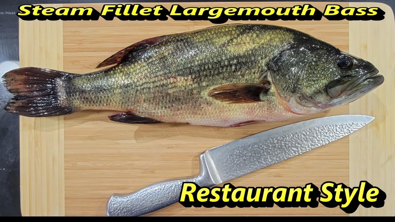Catch, Clean N Steamed Largemouth bass. YouTube