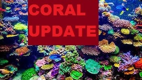 MINETEST 0.4.15 CORAL UPDATE!
