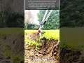 How to Edge Your Garden Like a Pro