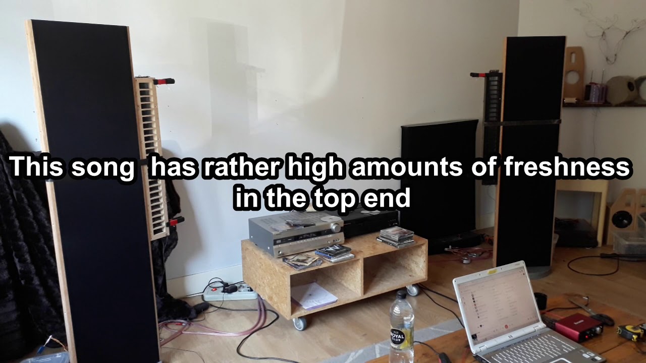 Planar Magnetic ESL hybrid DIY speaker-  Music Bonanza - Song1