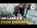 Explained | What is the ‘food emergency’ in Sri Lanka?
