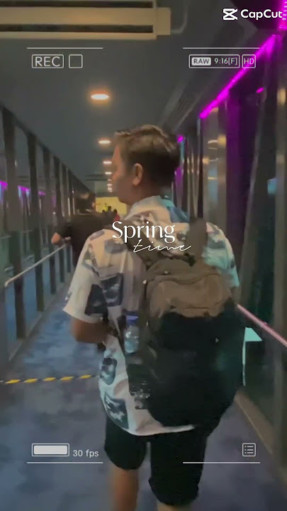 Musim semi di Jepang