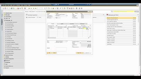 SAP Business One 9.1 - Batch and Serial Inventory Cost Valuation