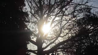 Sit With Me and God.