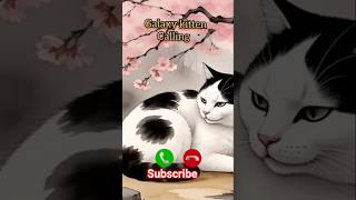Cute  Cat  Ringing cat ringintone viral smartphone foryou