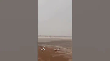 وتحب المطر والمطر ينزل يحاكيك اشتراك 