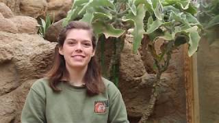 Target Training with Meerkats