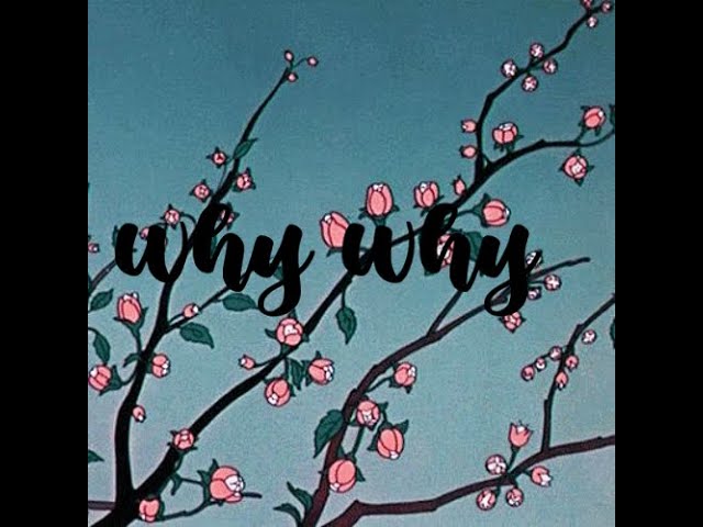 doja cat ft. gunna - why why (slowed n reverb)