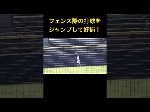 フェンス際の打球をジャンプして好捕！レフトの好プレー　　#高校野球 #野球 #好プレー #高校野球好プレー #shorts