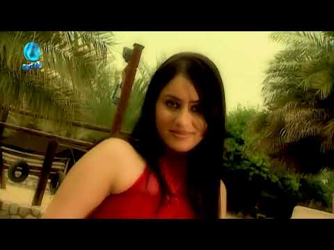 الفنان حسين اسيري الحلوة فيديو كليب