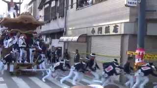 20150920 00147 本宮午後曳行 小門 筋海町 岸和田だんじり祭