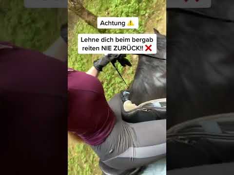 Video: Können Blondies wieder aufgewärmt werden?