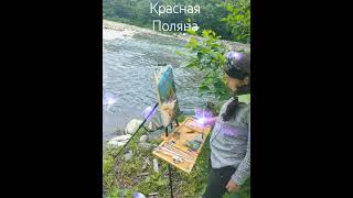 #краснаяполяна #shorts #пленэр #красотадуши #отдых #перезагрузка