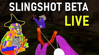 Beta Battle is Getting Removed Soon!!! Gorilla Tag LIVE Guide