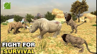 Lion Family Simulator 2020 - Gameplay Video