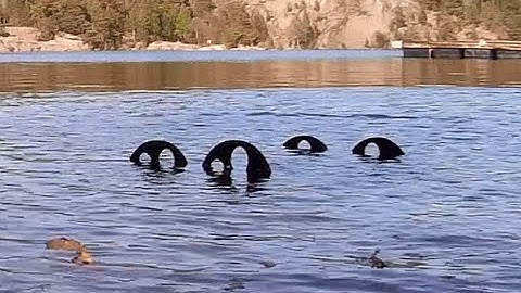 TILT Scout WR - Water tests teaser