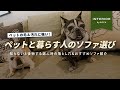 【ペットを飼っている人・これから買う人必見】ペットにも強いオシャレソファ選びの落とし穴…これを知らないと買って後悔します…【インテリアショップ店長が教える】