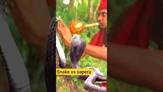 Snake Hunter Got Pranked