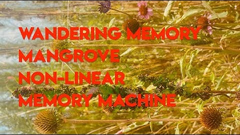 Wandering Memory | Mannequins Mangrove | Holocene Electronics Non-Linear Memory Machine