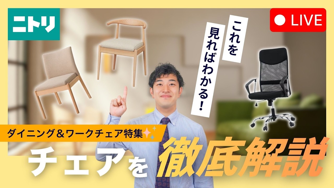 LIVE Stream] Special Feature on Dining & Work Chairs ✨ A thorough