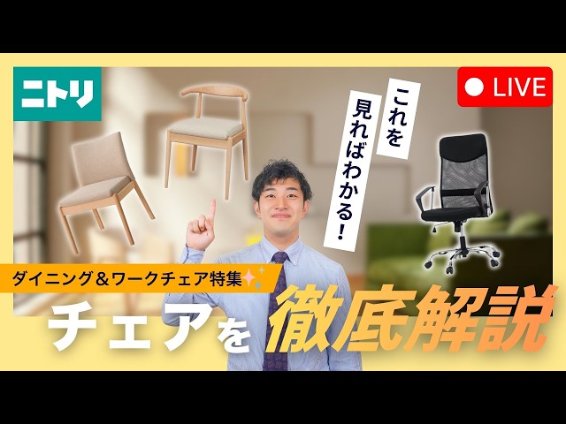 LIVE Stream] Special Feature on Dining & Work Chairs ✨ A thorough