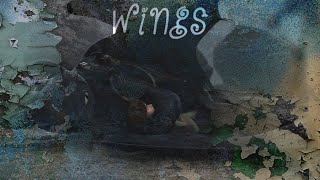 HTTYD|| Wings [ Nico Santos ] || •Collaboration•