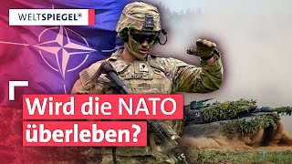 Schlimmste Krise für die NATO seit Gründung vor 75 Jahren